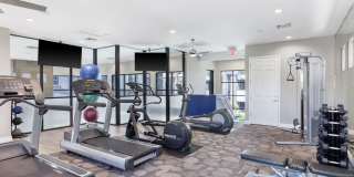 Monte Viejo Gallery 26