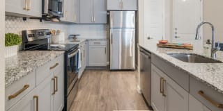 Cavalli at Iron Horse Station Gallery 7