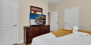 8958 CAT PALM ROAD Gallery 22