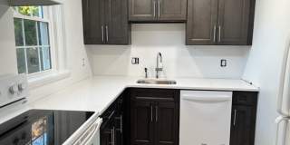 This residence showcases a beautifully updated kitchen with a sleek modern-contemporary aesthetic. Gallery 8