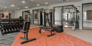 The View on Collins Apartments Gallery 34