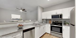 Natomas Park Gallery 2