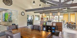 Constellation Apartments Gallery 23