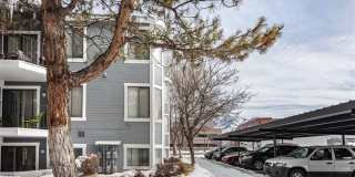 James Pointe Apartments Gallery 83