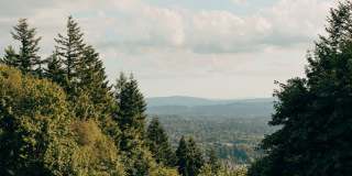 North Hollow Gallery 44