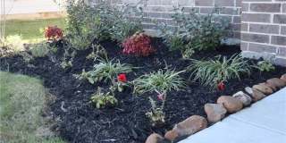 1056 Chachalaca Court Gallery 13