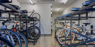 Walnut Street Commons Gallery 16