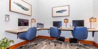 Creekside At Palmer Park Apartments Gallery 53
