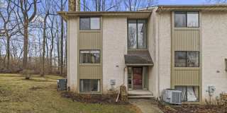 431 LYNETREE Gallery 1