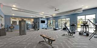 Discovery Park Gallery 28