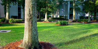 Oak Creek Gallery 21