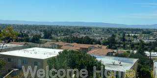 16233 San Remo Drive Gallery 25