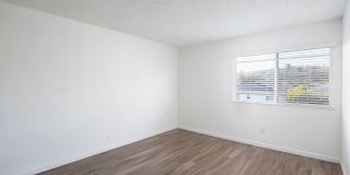 The Pacific at Mission Bay Gallery 53