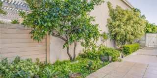 46 Silkberry Gallery 32