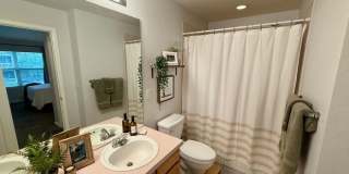 5225 White Willow Drive Gallery 16