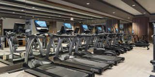 Preston Centre Gallery 24