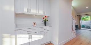 15 Camphor S Gallery 15
