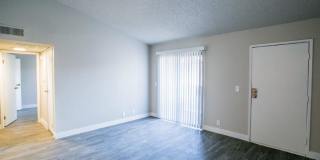 SITE Fifty55 Gallery 24