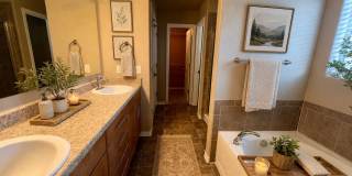 Gorgeous 3 Bedroom Home in Northeast CO Springs! Gallery 9