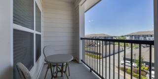 Kinsley Forest Gallery 12