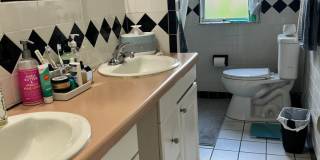 Gulfport charm 3/1 1 car garage Gallery 12