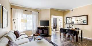 IMT Cherry Creek Gallery 15