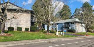 Windmill Gallery 20