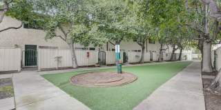 Los Gatos Creek Gallery 14