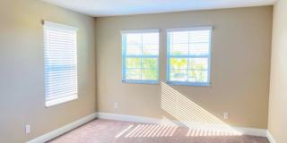 Amazing 5 bedrooms/4 full baths brand New SMART home in beautiful new Tampa community! Gallery 23