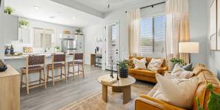 Canopy at Cottonwood Gallery 5