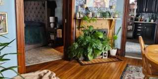 65 Amherst Street Gallery 23
