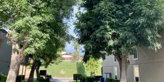 Solana Park Gallery 8