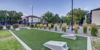 Ashford Apartments Gallery 23