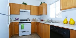 Diamond Vista Gallery 28