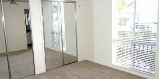 Elan Pacific Palms Gallery 14