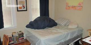 Nicely renovated 3 bed unit with in-unit laundry. Gallery 7