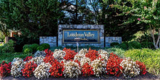 22616 WELBORNE MANOR Square Gallery 45
