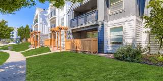 Sunnyside Village Gallery 31