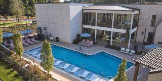 NOVEL Davidson Gallery 43