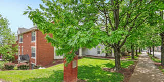 Crawford Square Gallery 24