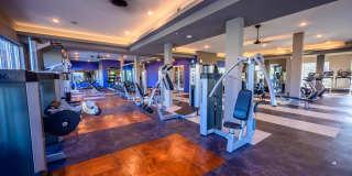 Harmony Luxury Apartments Gallery 13