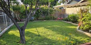 4359 Elmwood Court Gallery 10