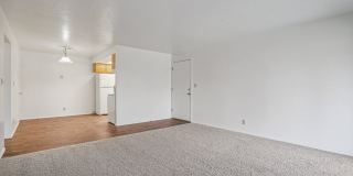 Country Woods Gallery 24