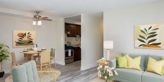 Stevens Walk Gallery 4