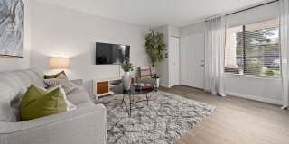 Solas Glendale Gallery 5