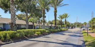 The Palms at Countryside Apartments Gallery 24