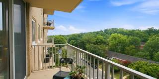 1225 MARTHA CUSTIS DR #709 Gallery 28