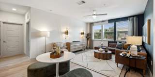 The Albright Gallery 11