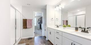 324 CEDAR SPRING Gallery 25