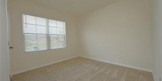 3457 MYSTIC POND Loop Gallery 30